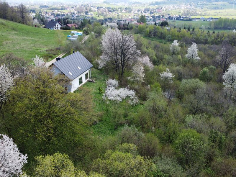 DO/376 dom pod lasem z piękną działką TREPCZA, pow. sanocki