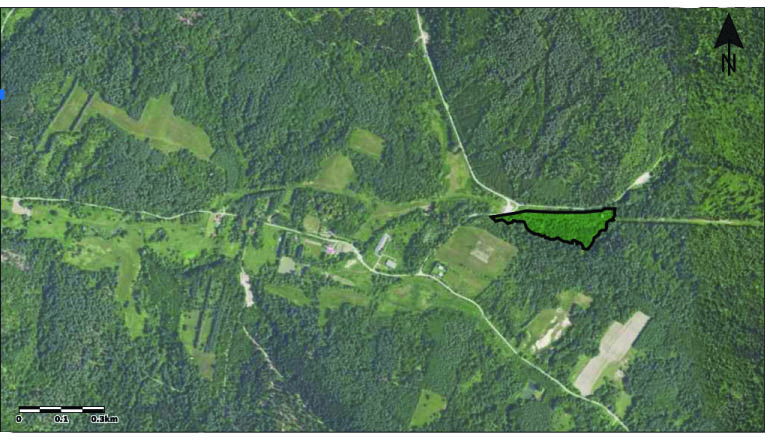 DZ/459 działka z lasem 3,11ha Kreców, gm. Tyrawa Wołoska