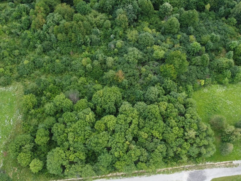 DZ/464 działka budowlana 12,54 ar Pisarowce