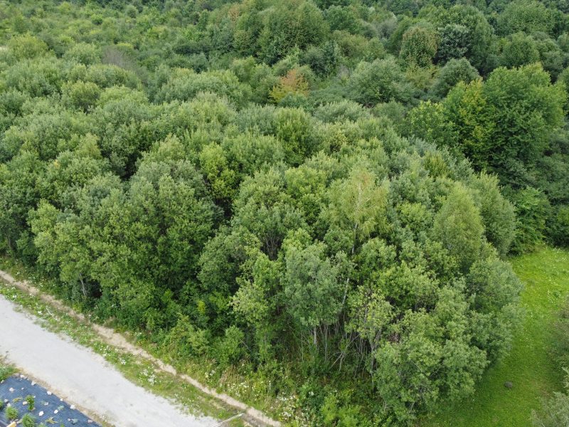 DZ/464 działka budowlana 12,54 ar Pisarowce