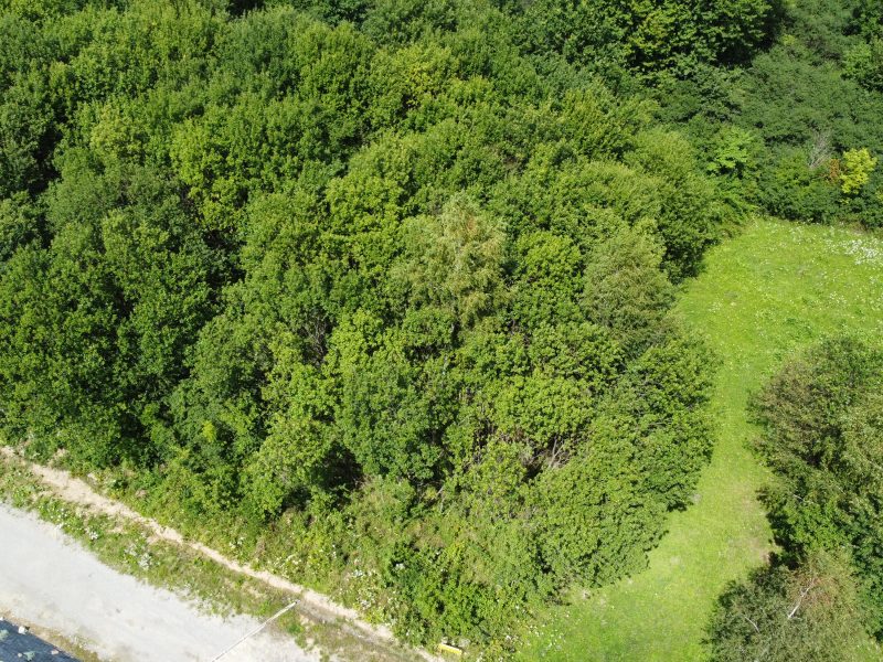 DZ/464 działka budowlana 12,54 ar Pisarowce