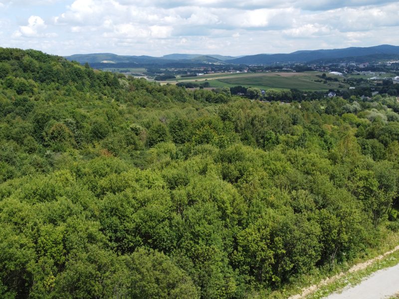 DZ/464 działka budowlana 12,54 ar Pisarowce