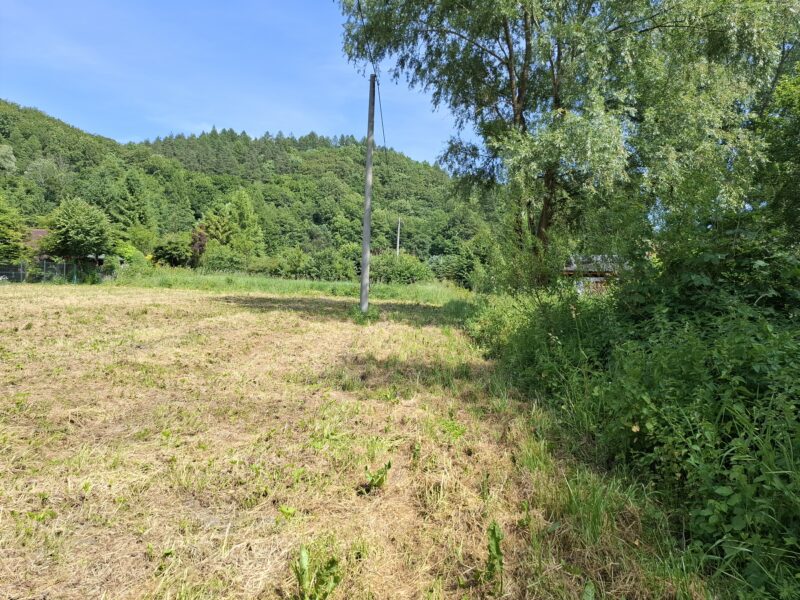 DZ/463 Działki rekreacyjne w Międzybrodziu gm. Sanok