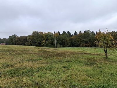 DZ/467 działka usługowa przy drodze krajowej DK-84 ZAGÓRZ - DOLINA