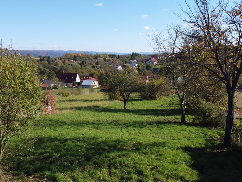 DZ/468 działka budowlana 19,80 ar w miejscowości Stróże Małe