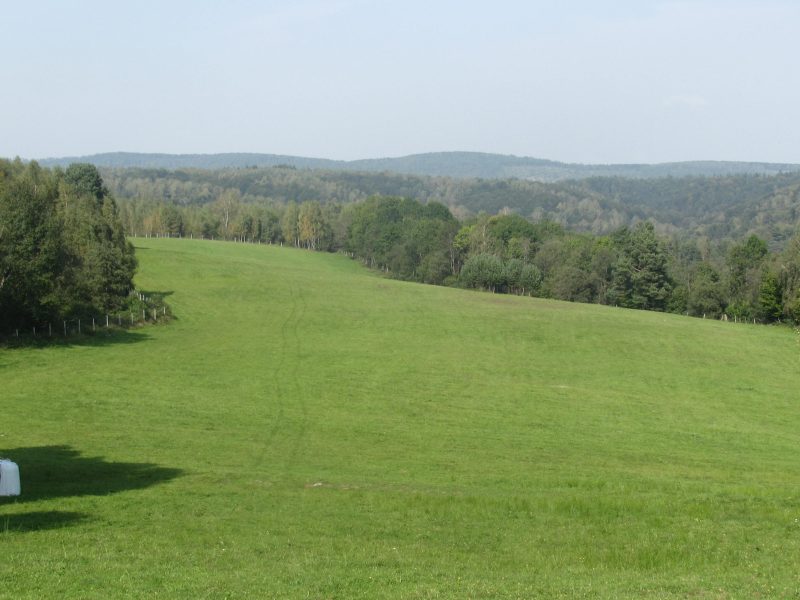 DO/430 BIESZCZADY - PANISZCZÓW - Siedlisko w dolinie