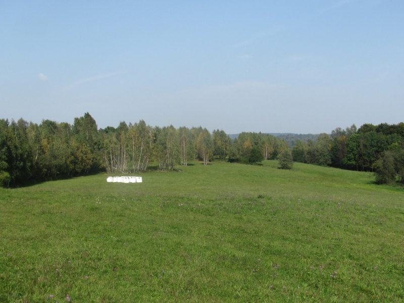 DO/430 BIESZCZADY - PANISZCZÓW - Siedlisko w dolinie