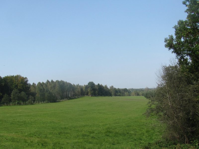 DO/430 BIESZCZADY - PANISZCZÓW - Siedlisko w dolinie