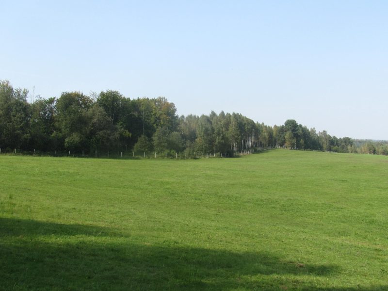 DO/430 BIESZCZADY - PANISZCZÓW - Siedlisko w dolinie