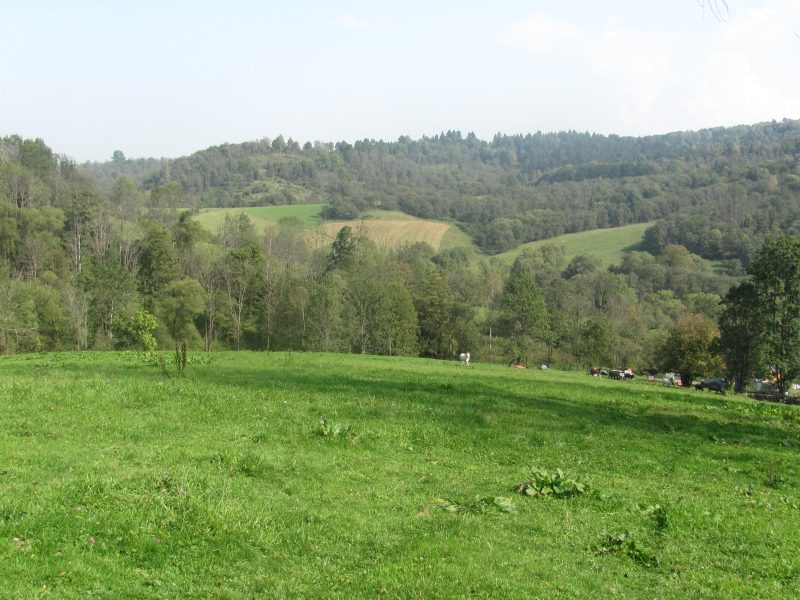 DO/430 BIESZCZADY - PANISZCZÓW - Siedlisko w dolinie