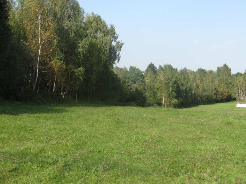 DO/430 BIESZCZADY - PANISZCZÓW - Siedlisko w dolinie