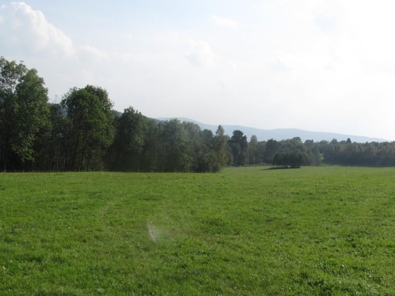 DO/430 BIESZCZADY - PANISZCZÓW - Siedlisko w dolinie