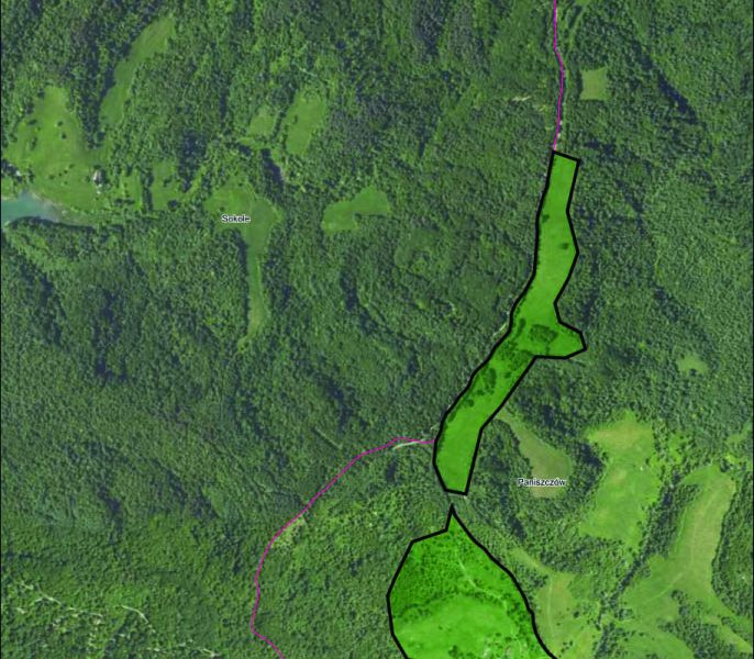 DO/430 BIESZCZADY - PANISZCZÓW - Siedlisko w dolinie