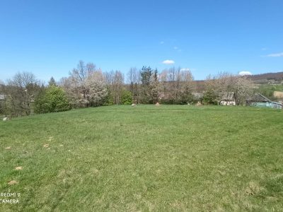 DZ/473 4 działki z WZ w miejscowości Lalin