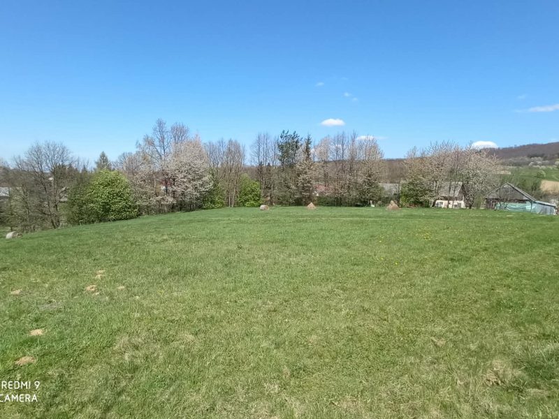 DZ/473 4 działki z WZ w miejscowości Lalin