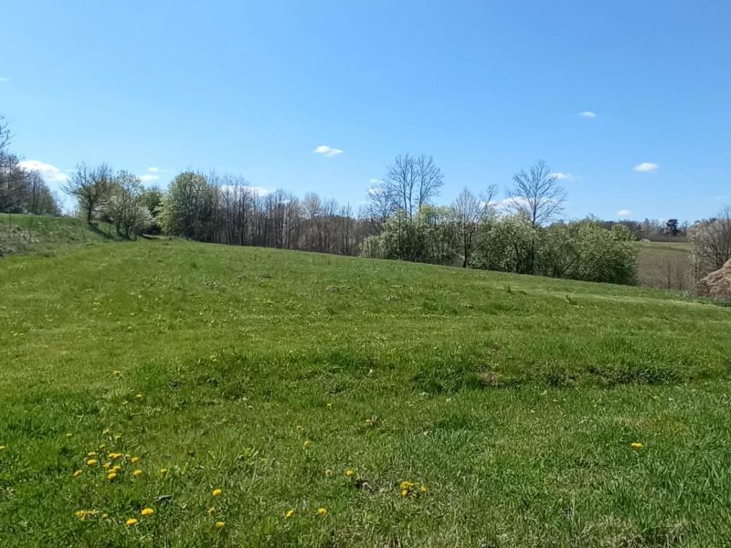 DZ/473 4 działki z WZ w miejscowości Lalin