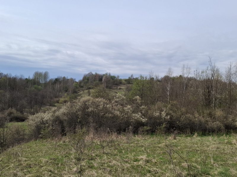 DZ/480 działka budowlana 1,12ha HUMNISKA, gm. Brzozów