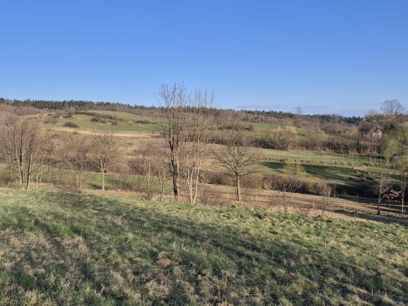 DZ/479 działka budowlana NIEBIESZCZANY, gm. Sanok