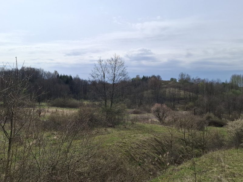 DZ/480 działka budowlana 1,12ha HUMNISKA, gm. Brzozów
