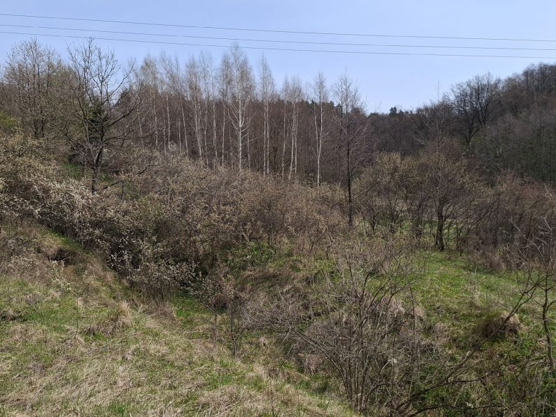 DZ/480 działka budowlana 1,12ha HUMNISKA, gm. Brzozów
