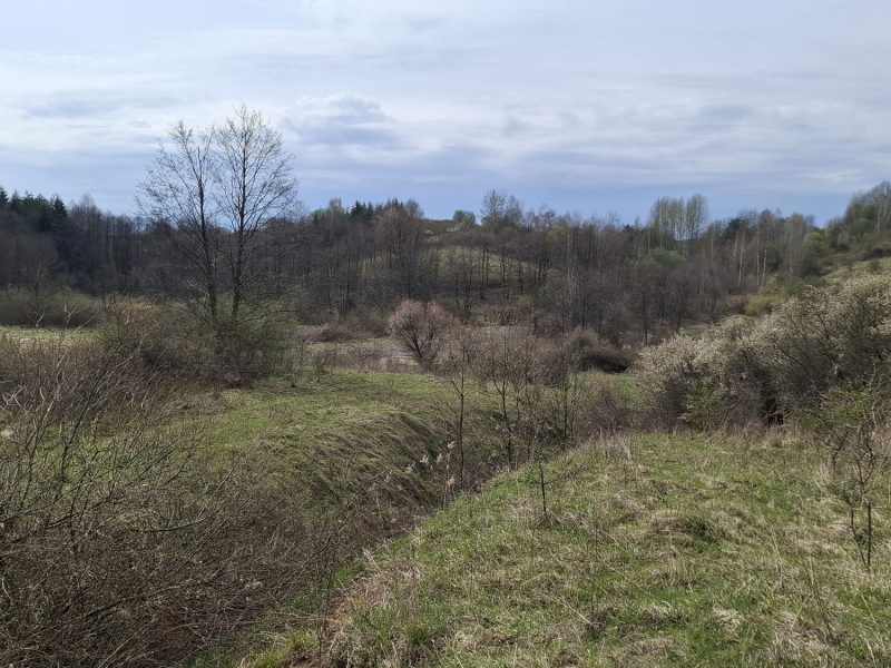 DZ/480 działka budowlana 1,12ha HUMNISKA, gm. Brzozów
