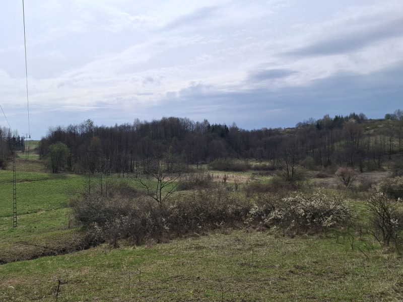 DZ/480 działka budowlana 1,12ha HUMNISKA, gm. Brzozów