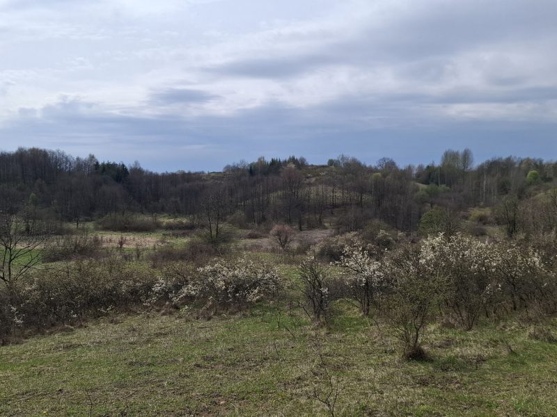 DZ/480 działka budowlana 1,12ha HUMNISKA, gm. Brzozów