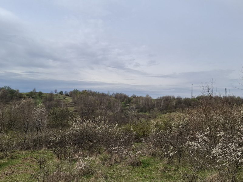 DZ/480 działka budowlana 1,12ha HUMNISKA, gm. Brzozów
