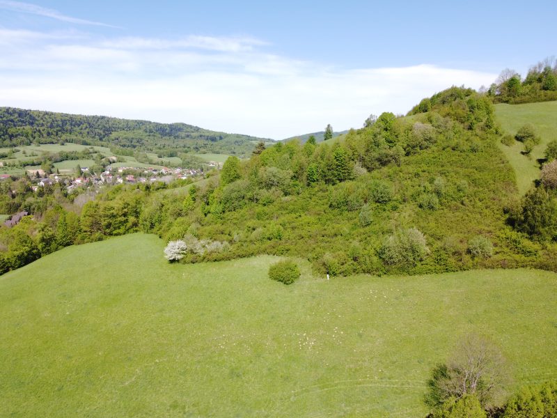 DZ/478 działka budowlana 72,31 ar w miejscowości Baligród - Bieszczady