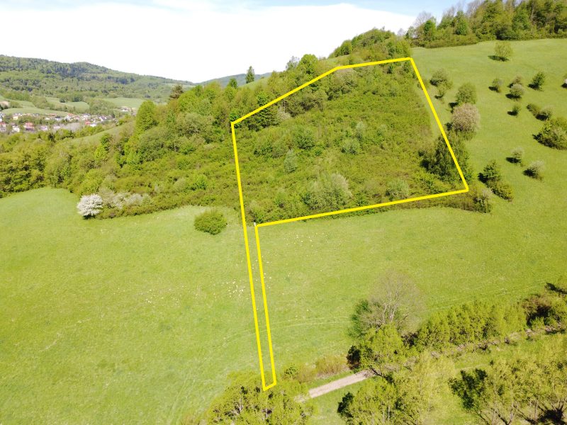 DZ/478 działka budowlana 72,31 ar w miejscowości Baligród - Bieszczady