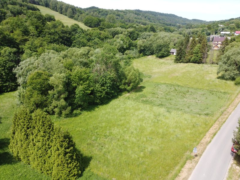 DZ/484 działka 1,2ha WUJSKIE, gm. Sanok