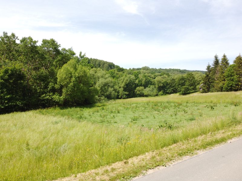 DZ/484 działka 1,2ha WUJSKIE, gm. Sanok