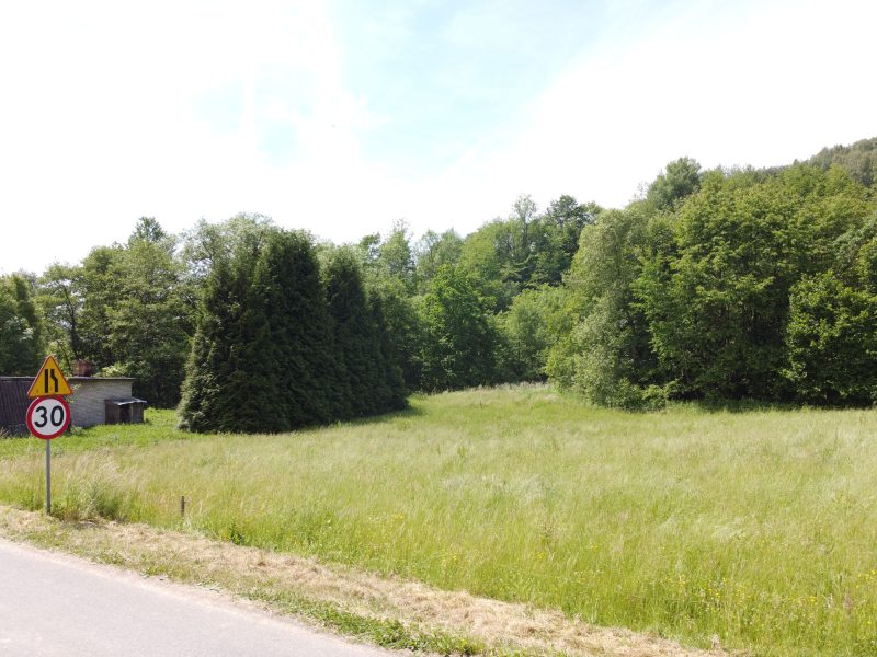 DZ/484 działka 1,2ha WUJSKIE, gm. Sanok