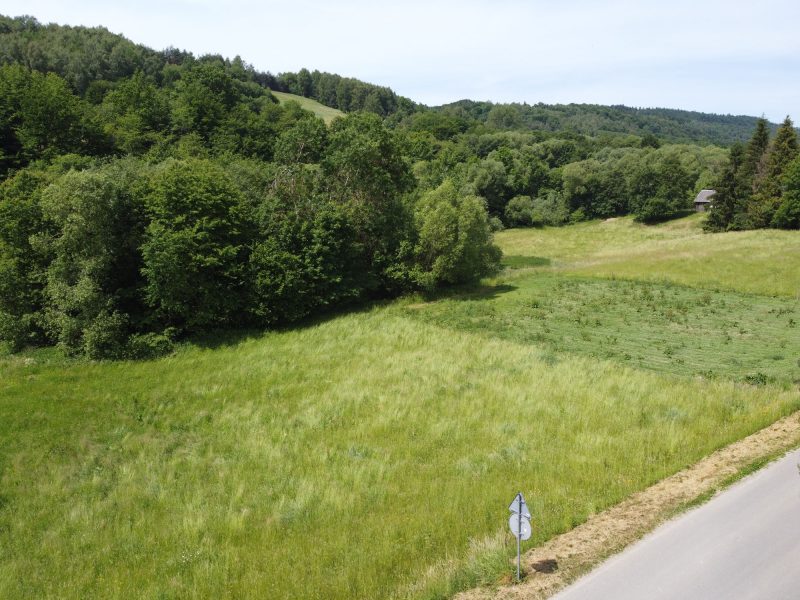 DZ/484 działka 1,2ha WUJSKIE, gm. Sanok