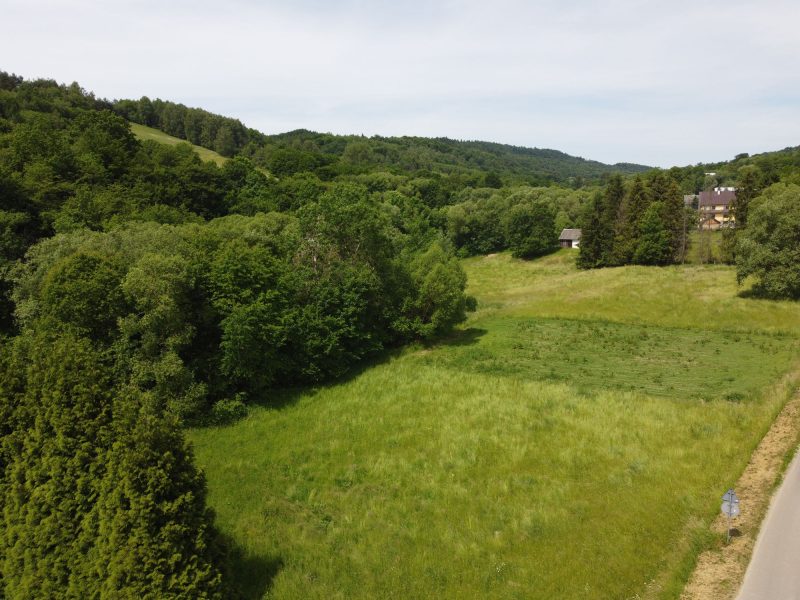 DZ/484 działka 1,2ha WUJSKIE, gm. Sanok