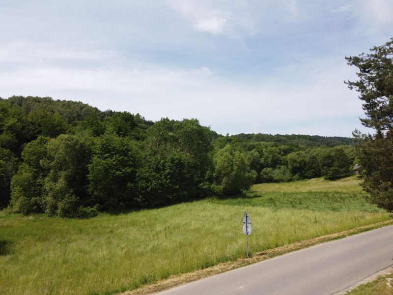 DZ/484 działka 1,2ha WUJSKIE, gm. Sanok
